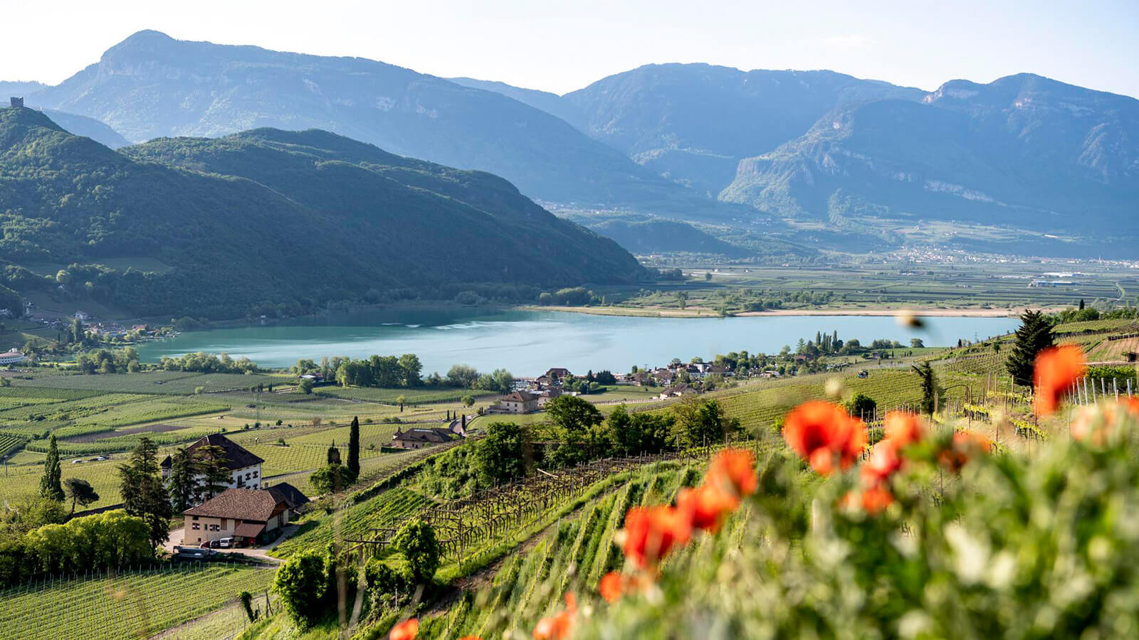 Blick auf den Kalterer See