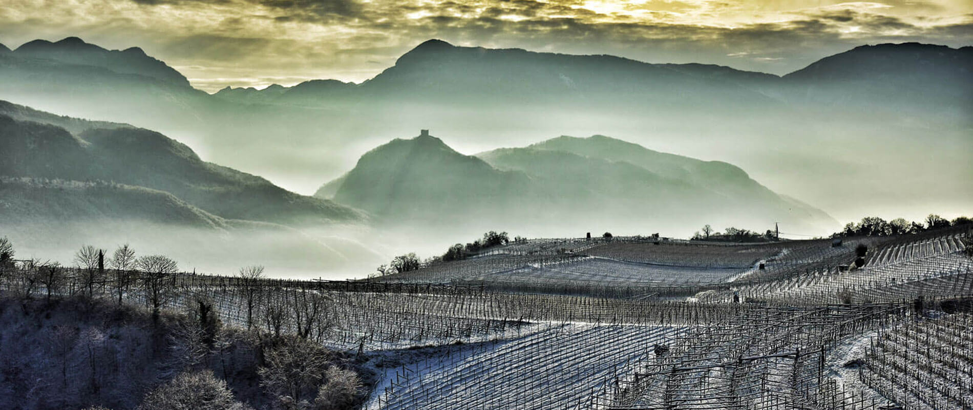 Attrazioni & highlight a Caldaro e dintorni