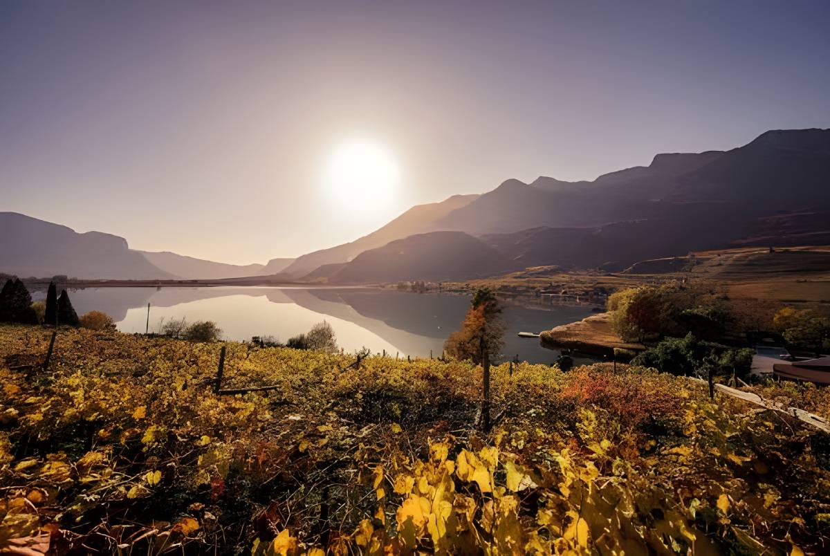 Herbstfeeling zwischen See & Weinbergen 4 = 3