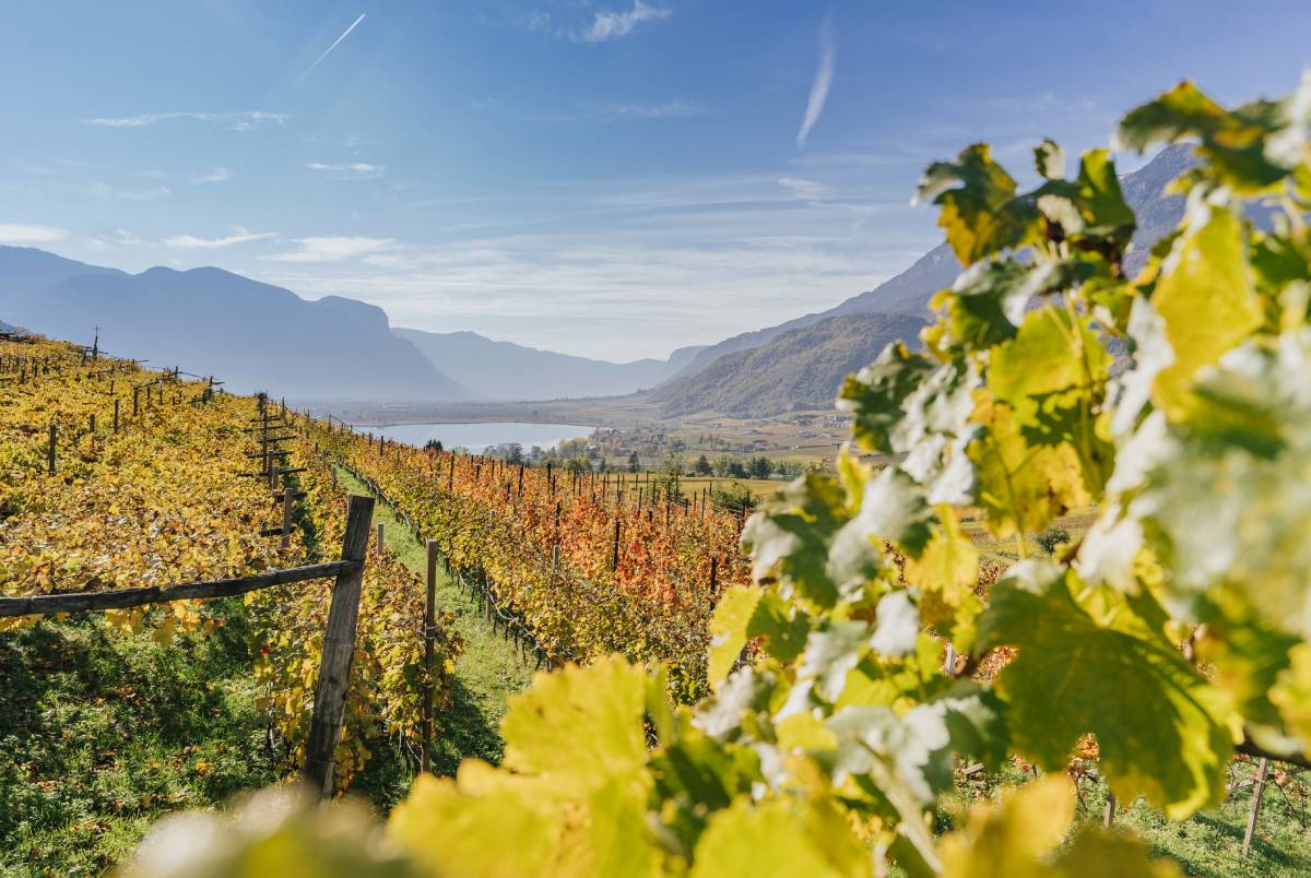 Autumn feeling at the Lago di Caldaro