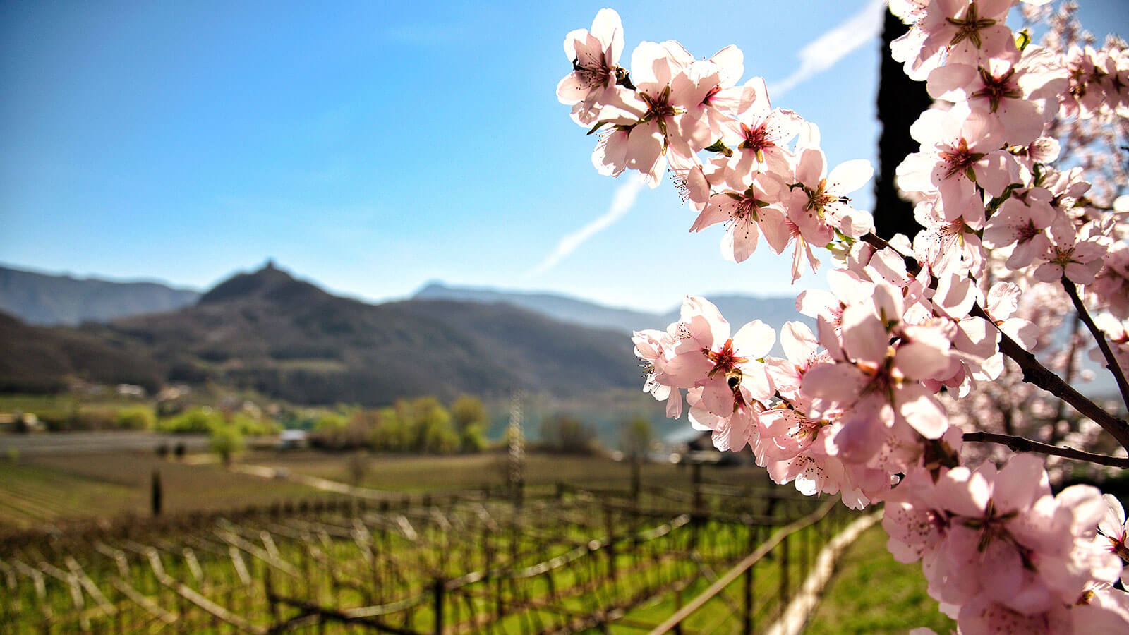 Frühlingsbeginn in Kaltern